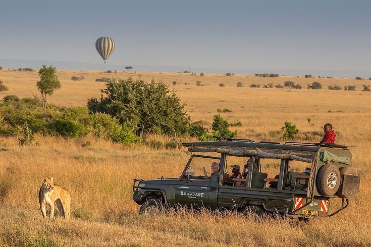 International and Domestic Safari Tours