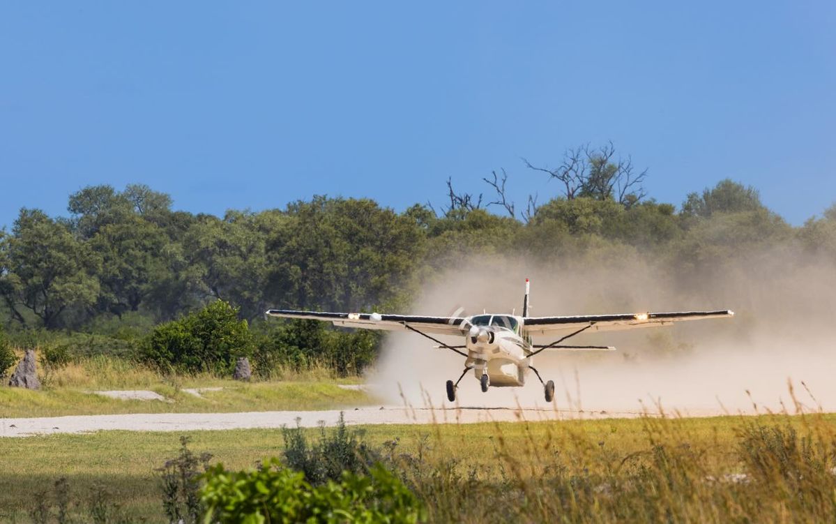 Safari Flights